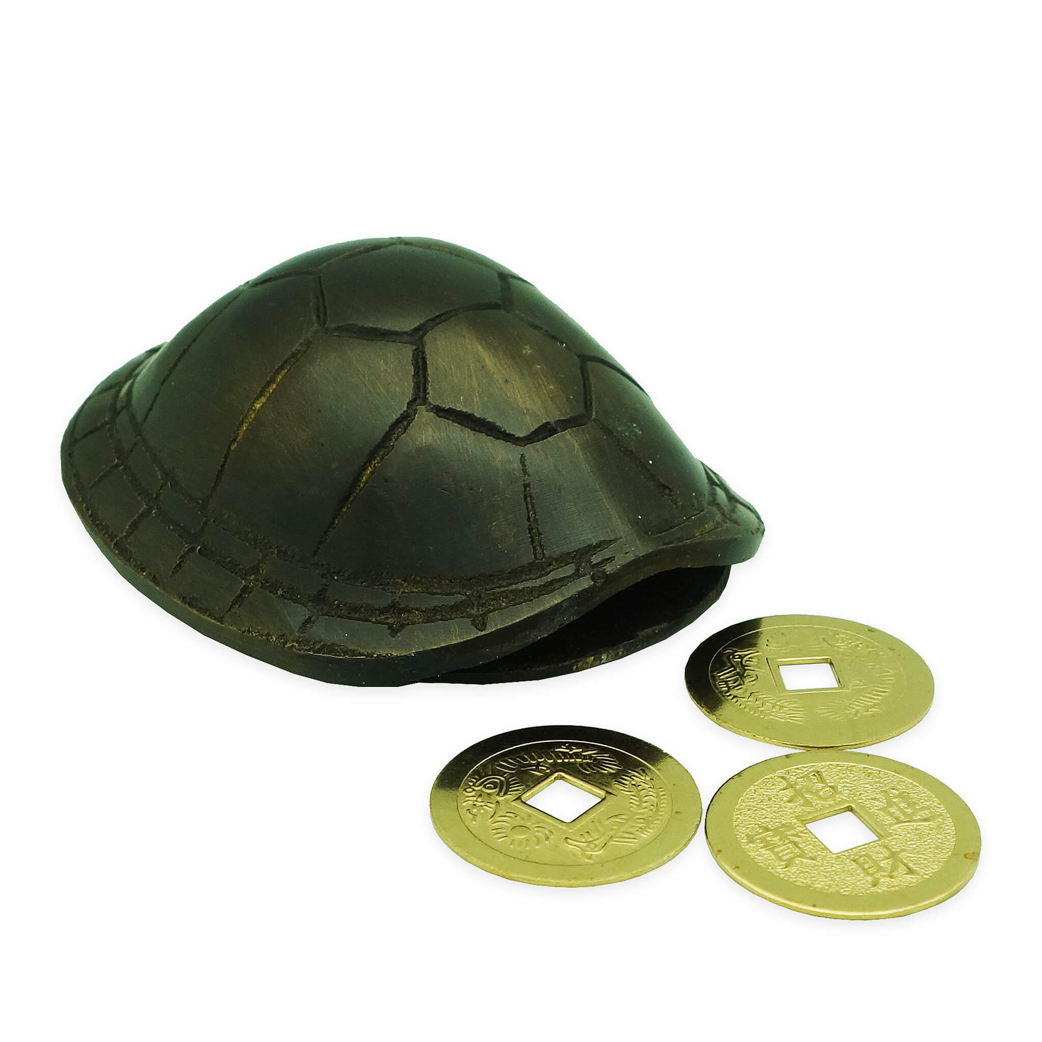 Tortoise Shell – FORTUNE WONDER
